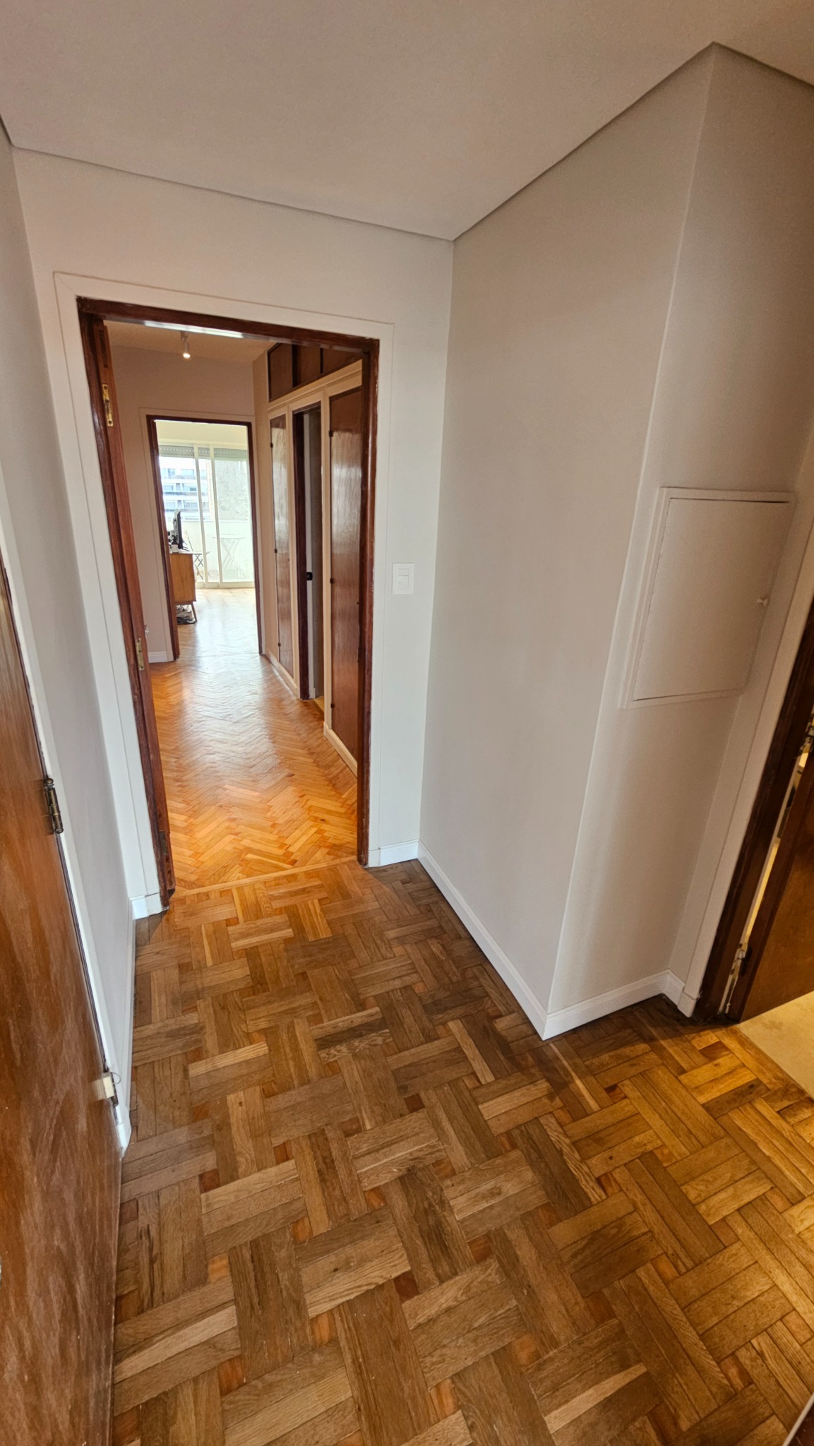 Circulación interior del apartamento renovado