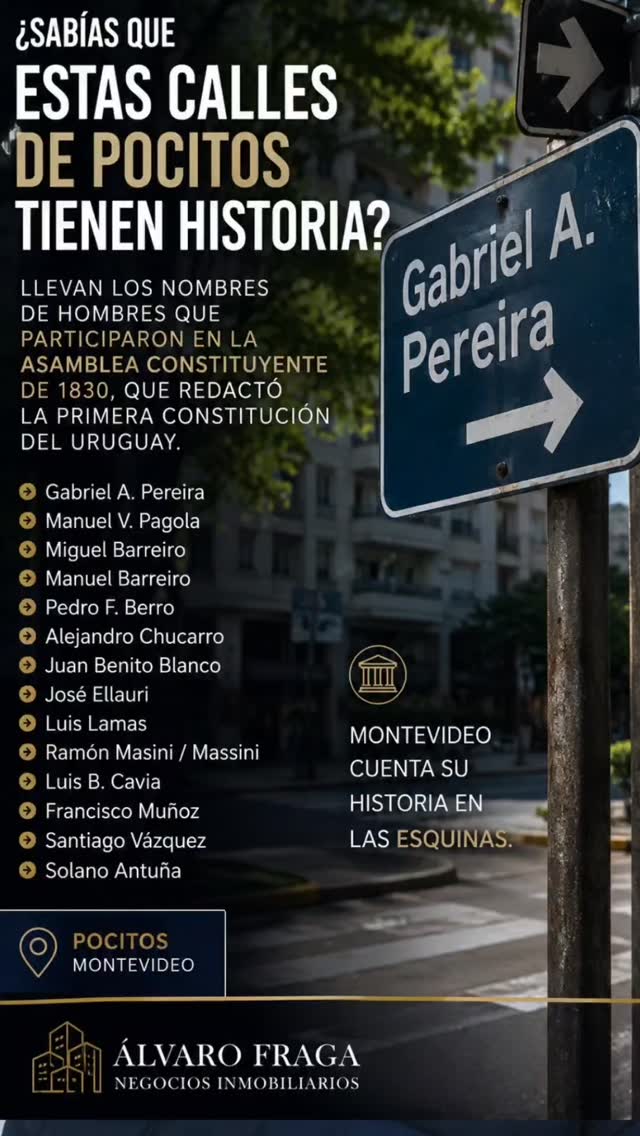 Portada del video Historia de las calles de Pocitos